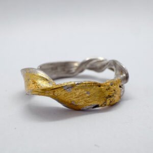 Anillo Deriva